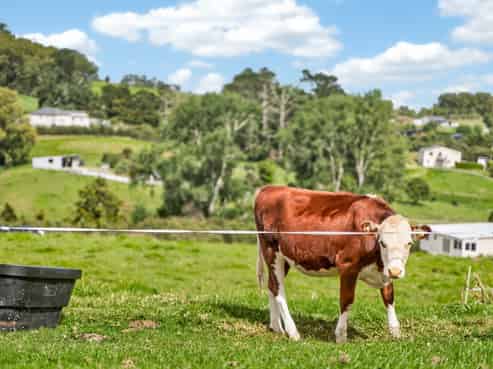 19 Protea Lane, Kaiwaka