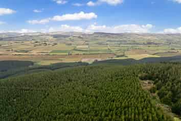  Benmore II Forest, Winton