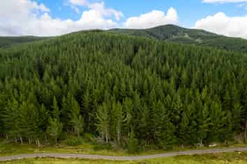  Benmore II Forest, Winton