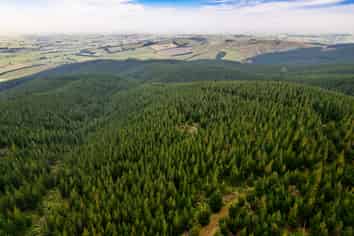  Benmore II Forest, Winton
