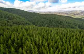  Benmore II Forest, Winton