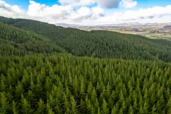  Benmore II Forest, Winton