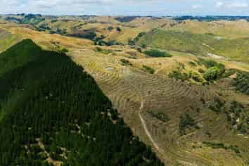 Turakina Forest, Turakina