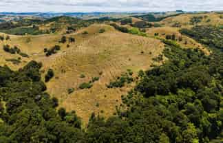  Turakina Forest, Turakina