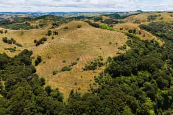  Turakina Forest, Turakina