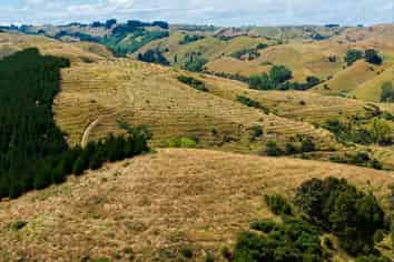  Turakina Forest, Turakina