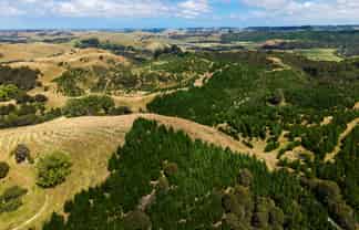  Turakina Forest, Turakina
