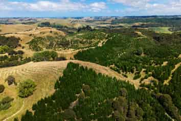  Turakina Forest, Turakina