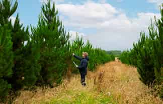  Kiri Forest, Opunake