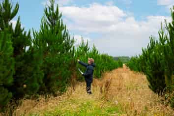  Kiri Forest, Opunake