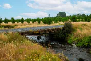  Kiri Forest, Opunake