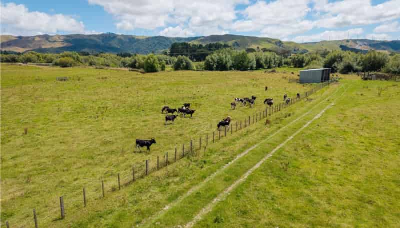  Broomfield Road, Woodville