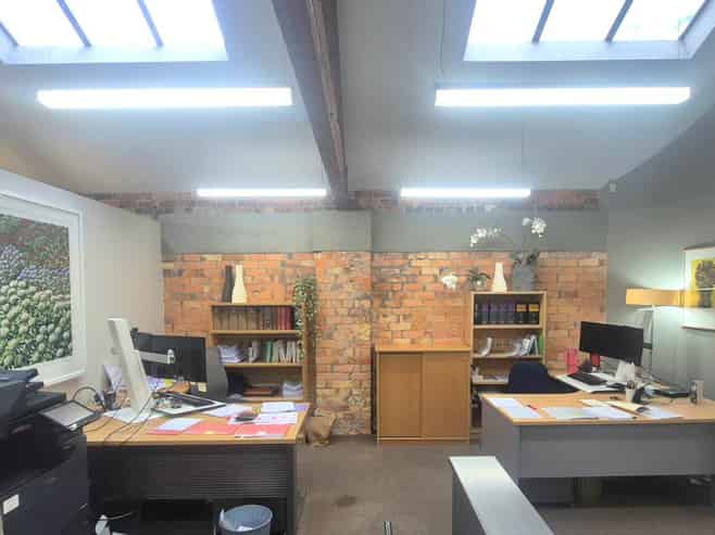 RARE TAKAPUNA CHARACTER OFFICE - ACT FAST
