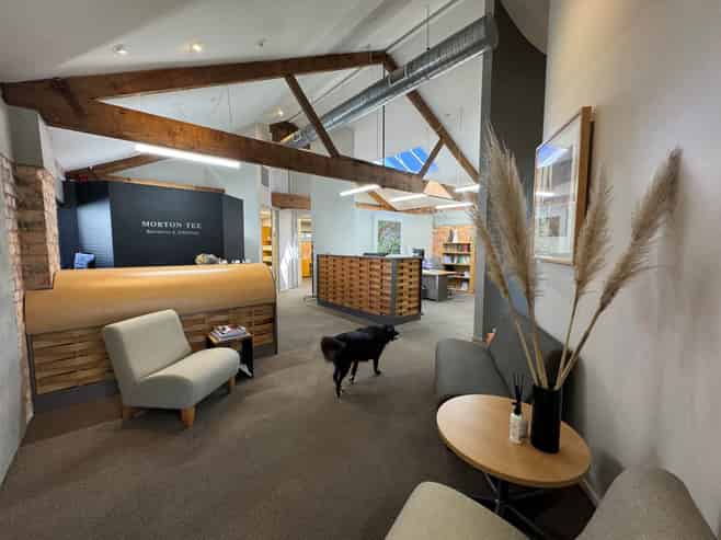 RARE TAKAPUNA CHARACTER OFFICE - ACT FAST
