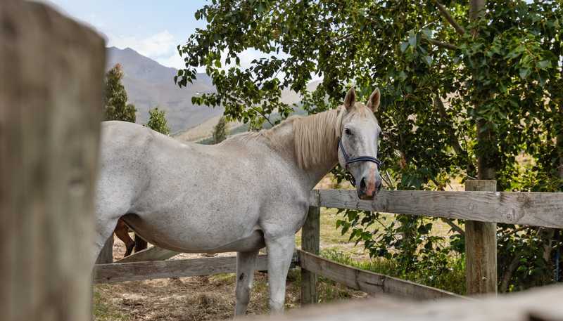 780 Falston Road, Twizel