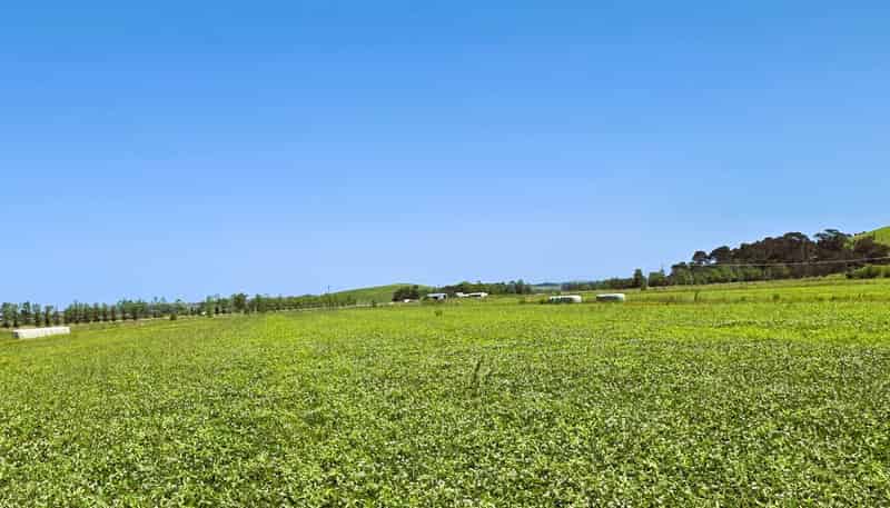  Blong Road, Ruawai