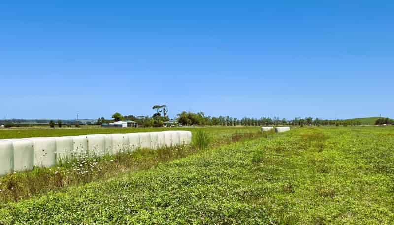  Blong Road, Ruawai