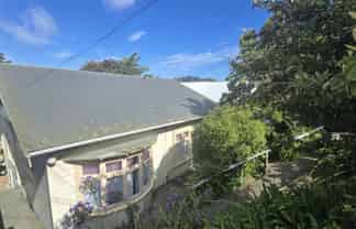 275 Adelaide Rd, Newtown