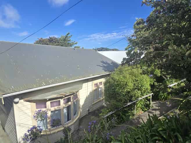 275 Adelaide Rd, Newtown