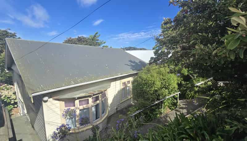 275 Adelaide Rd, Newtown