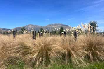 16 Soper Street, Athol