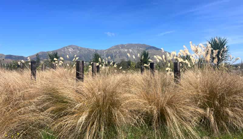 16 Soper Street, Athol