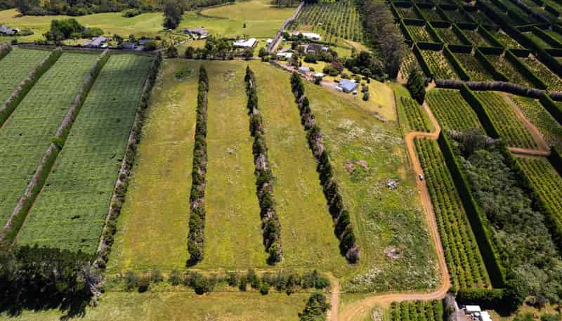 107C Kapiro Road, Kerikeri