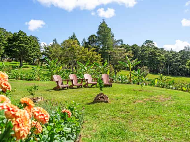 395 Tangihua Road, Maungakaramea