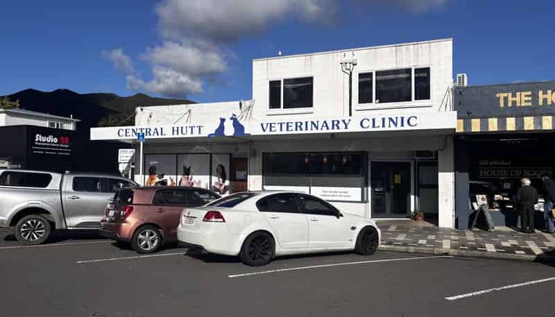 6 Hardy Street, Waterloo