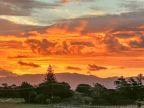 155 and 157 Te Maire Road, Kahutara