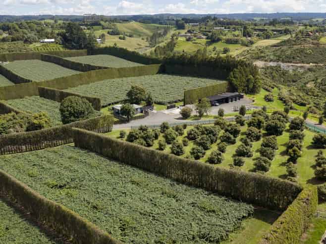 Bay of Plenty - Address withheld