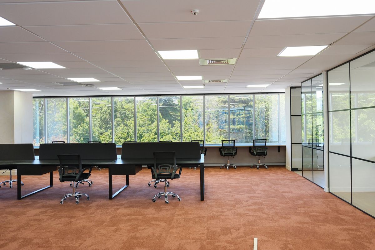 Modern Office, Central Auckland