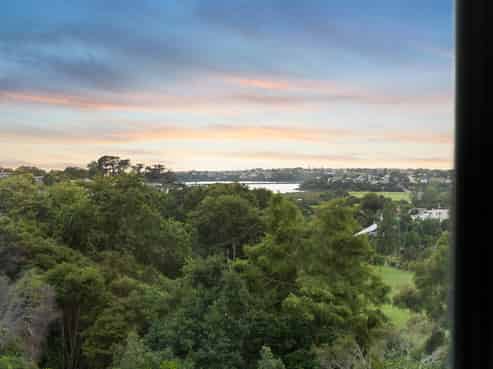 3D Laxon Terrace, Remuera