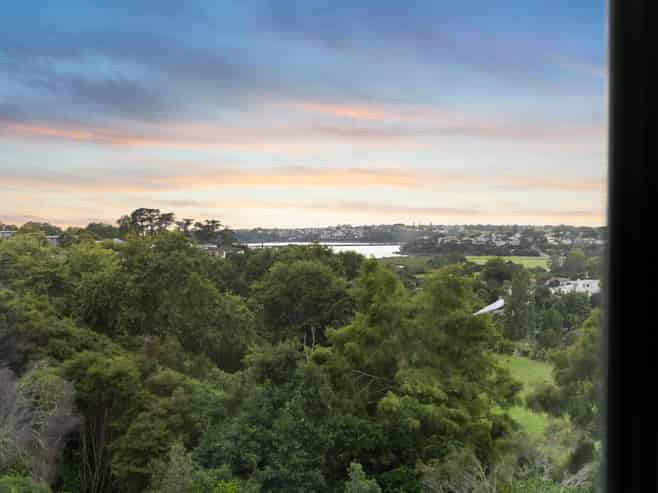 3D Laxon Terrace, Remuera