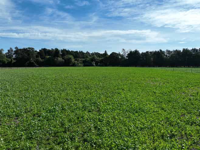 72 Taumata Island Road, Taumata Island