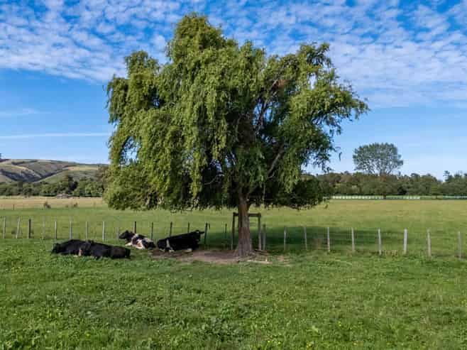 72 Taumata Island Road, Taumata Island