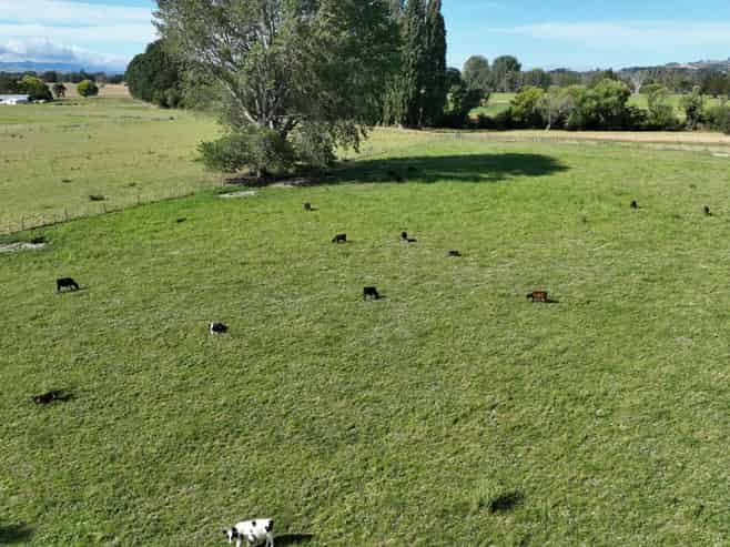 72 Taumata Island Road, Taumata Island