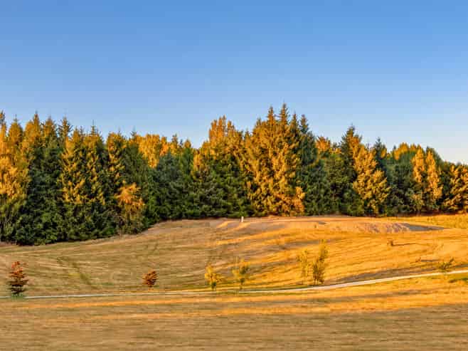26 Fitzpatrick Road, Dalefield/Wakatipu Basin