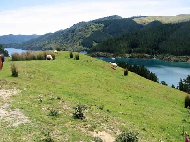  Cissy Bay Road, Cissy Bay, French Pass