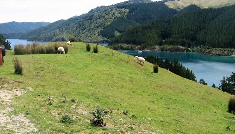  Cissy Bay Road, Cissy Bay, French Pass