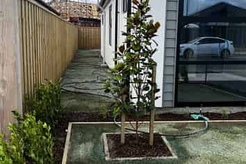 10 Silvergrass Way, Rolleston