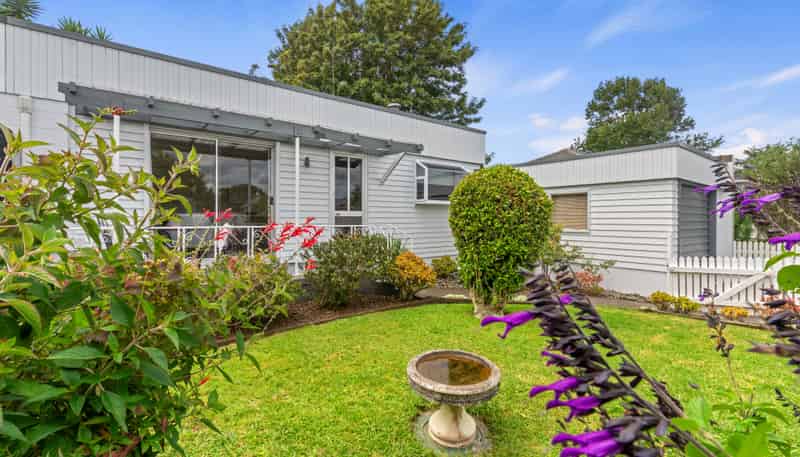 17 Newcastle Terrace, Mount Albert