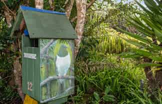 12 Kereru Street, MAUNU