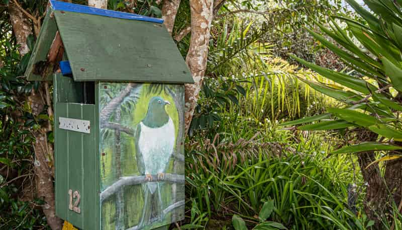 12 Kereru Street, MAUNU