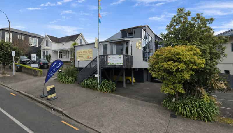 87A College Hill, Ponsonby