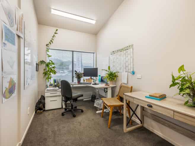 Strategic Investment with Mixed Use Flexibility