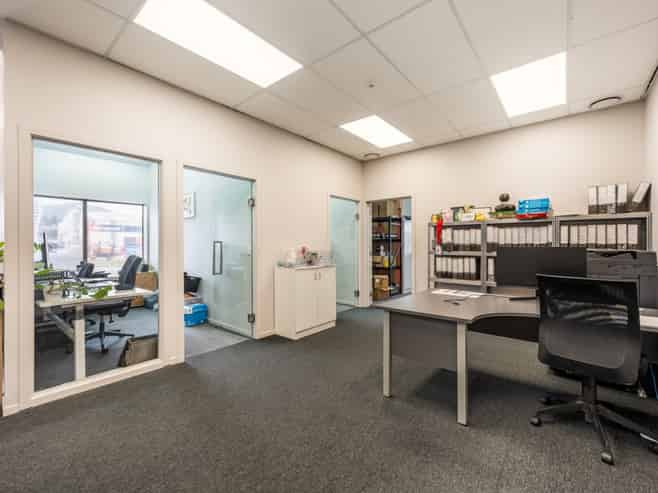 Strategic Investment with Mixed Use Flexibility