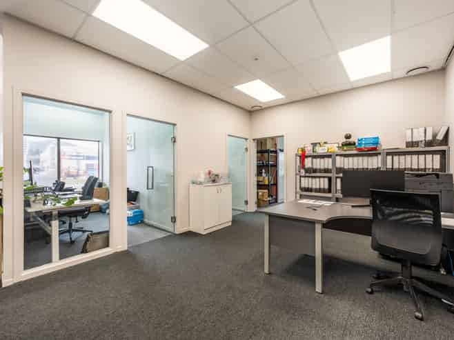 Strategic Investment with Mixed Use Flexibility