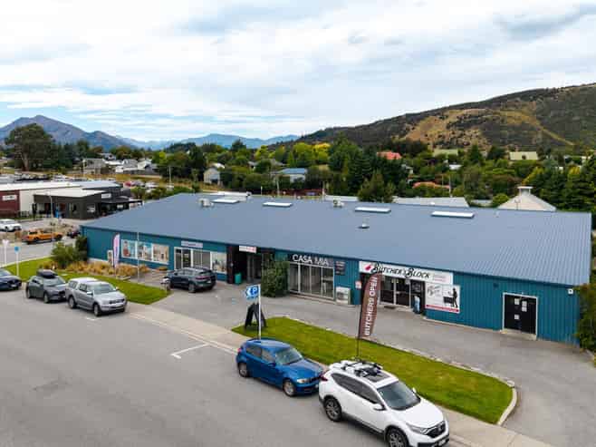 Strategic Investment with Mixed Use Flexibility