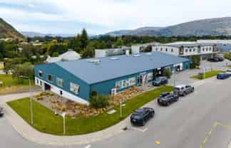 Strategic Investment with Mixed Use Flexibility